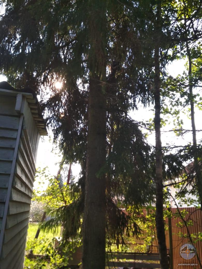 IMG-20180904-WA0000.jpg