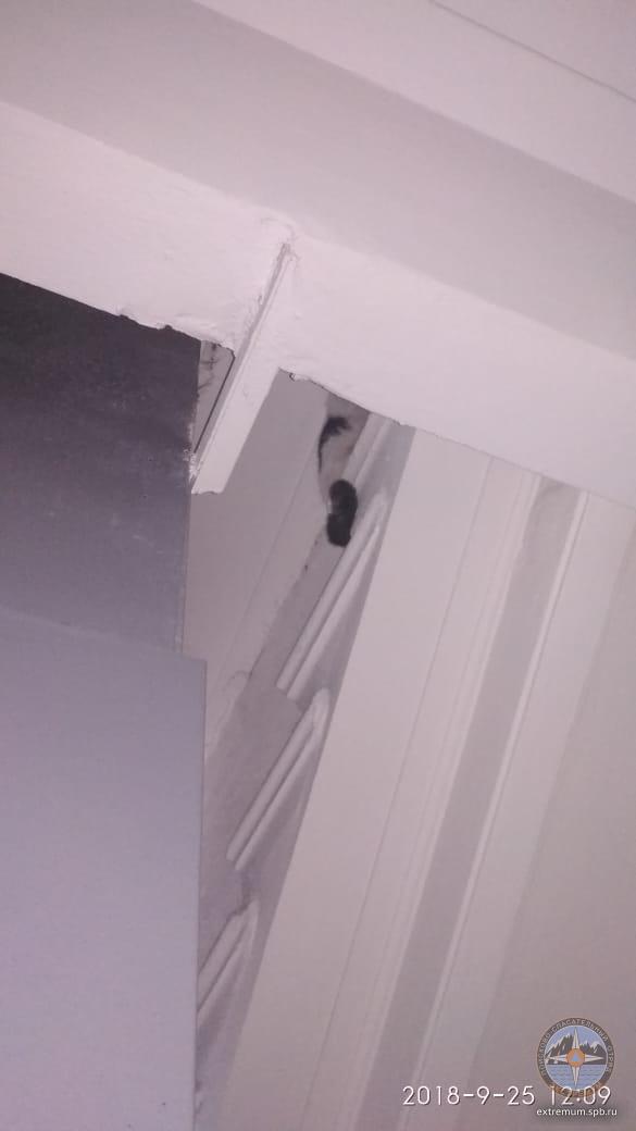 IMG-20180925-WA0003.jpg