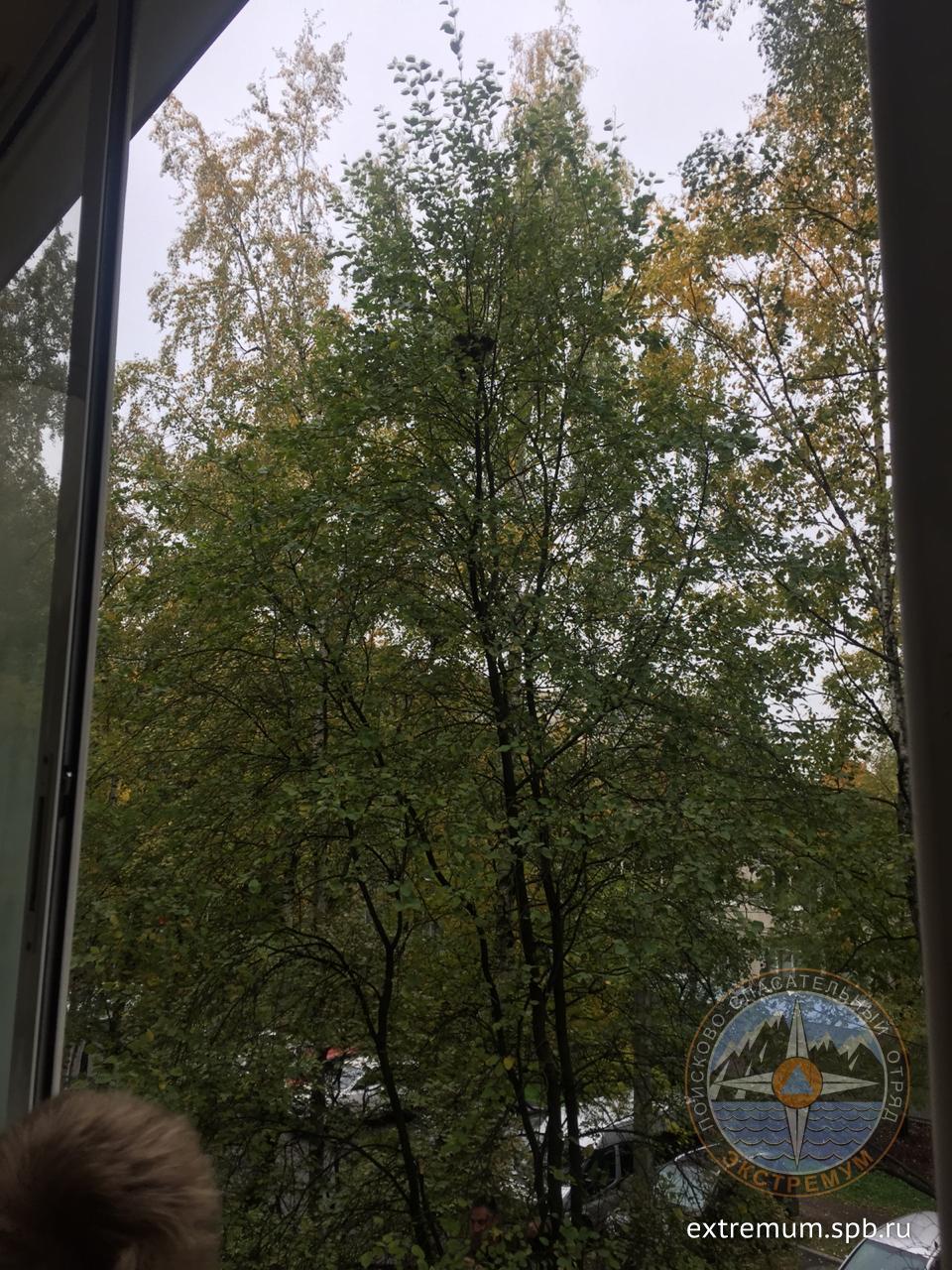 IMG-20181007-WA0003.jpg