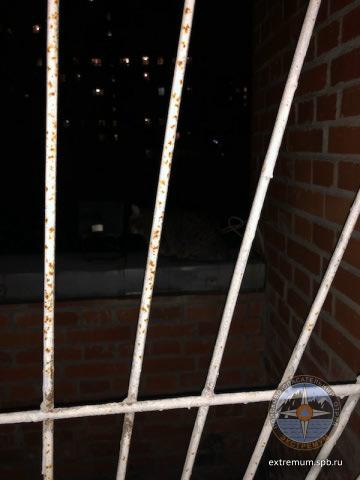 SAVE_20181007_203957.jpeg