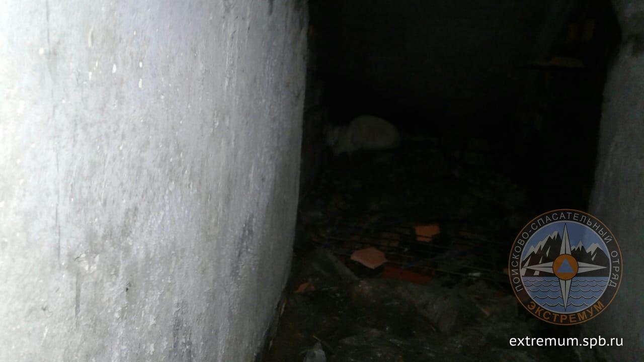 IMG-20181102-WA0023.jpg