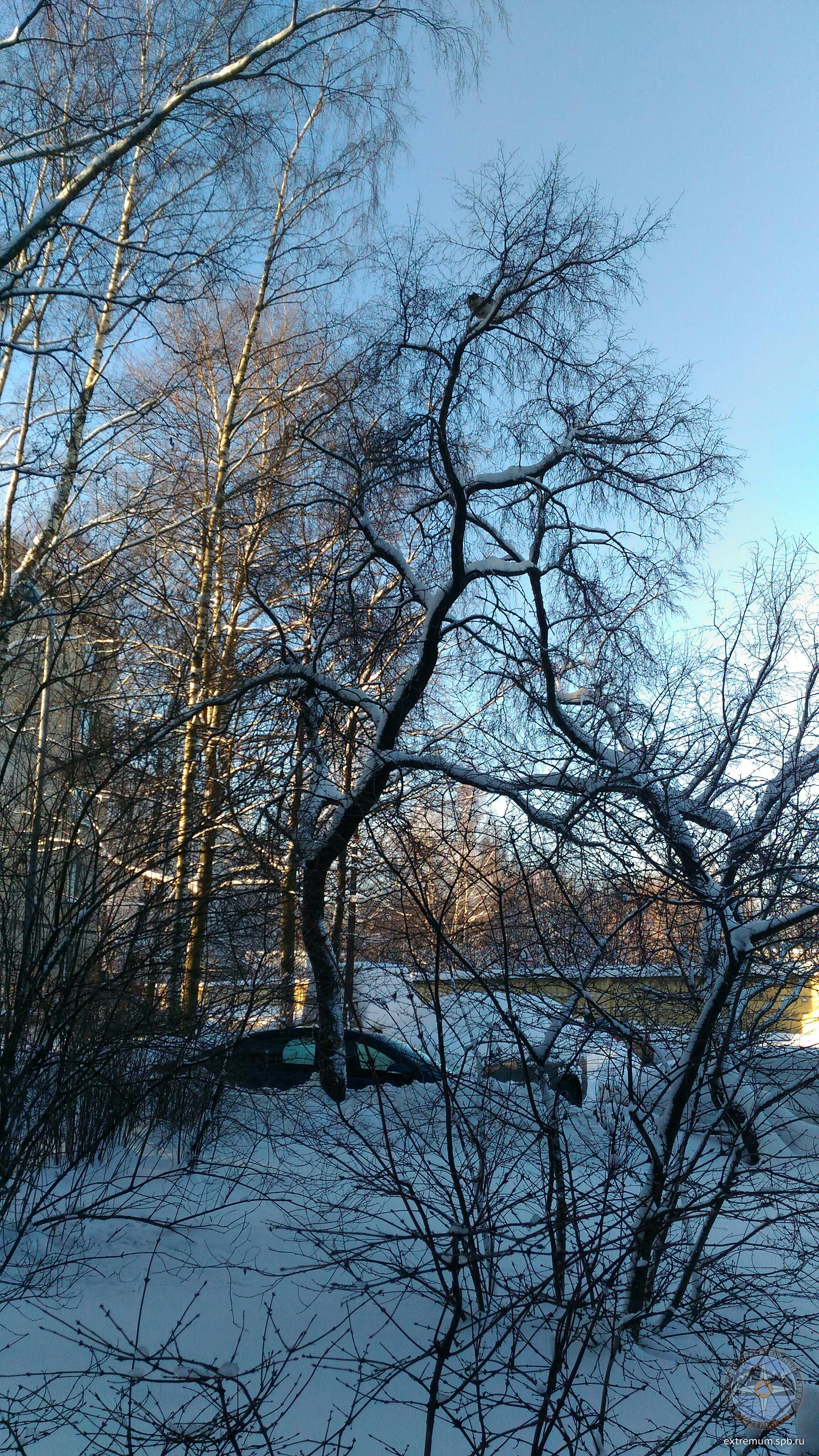 1548325480547.jpg