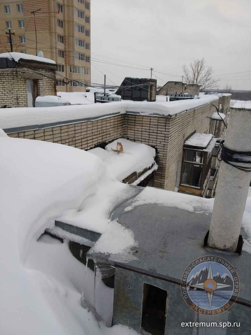 IMG-20190206-WA0001.jpg