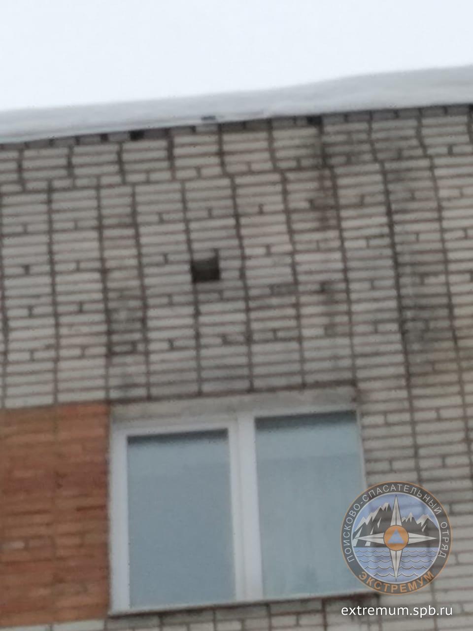 IMG-20190206-WA0000.jpg