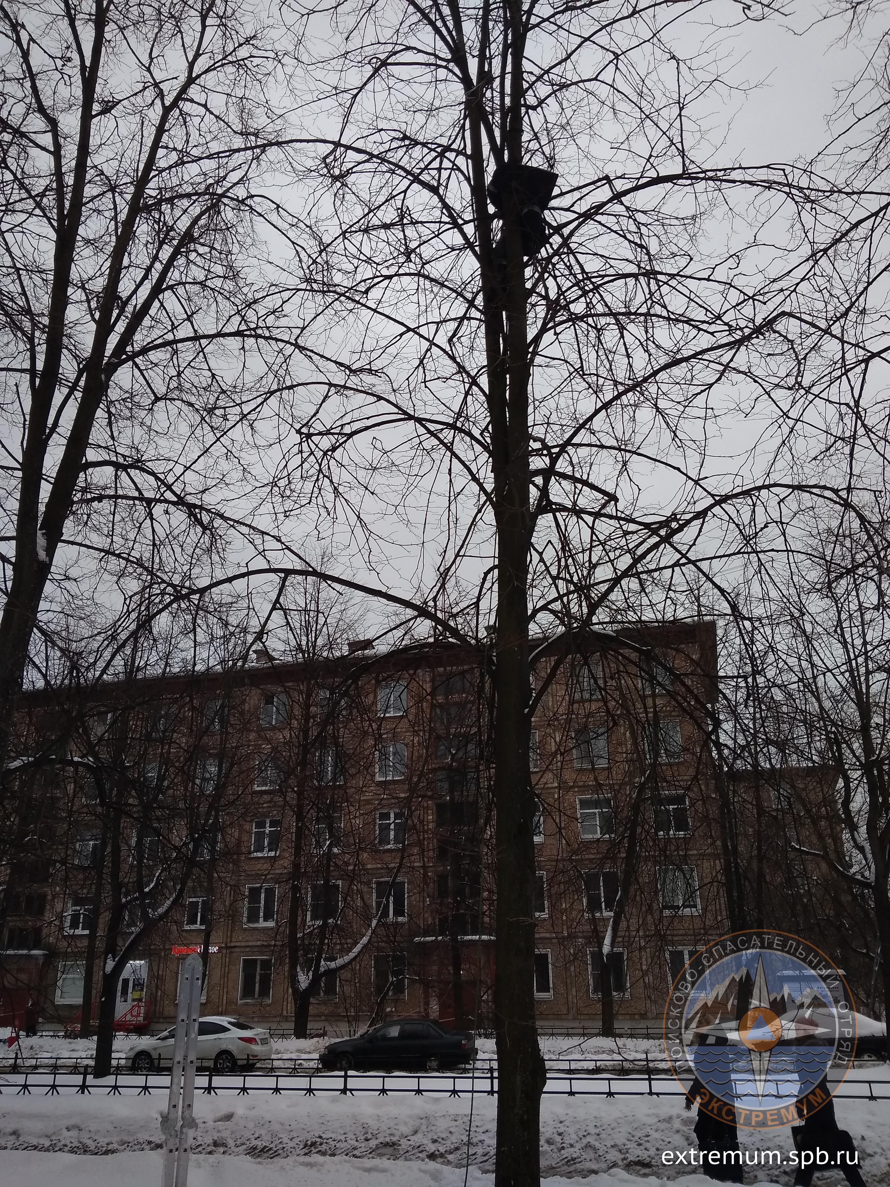 IMG_20190208_153951.jpg