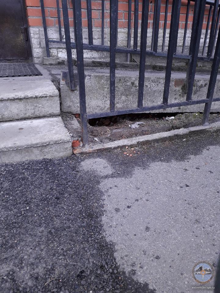 Resized_20190322_172027_8218.jpeg
