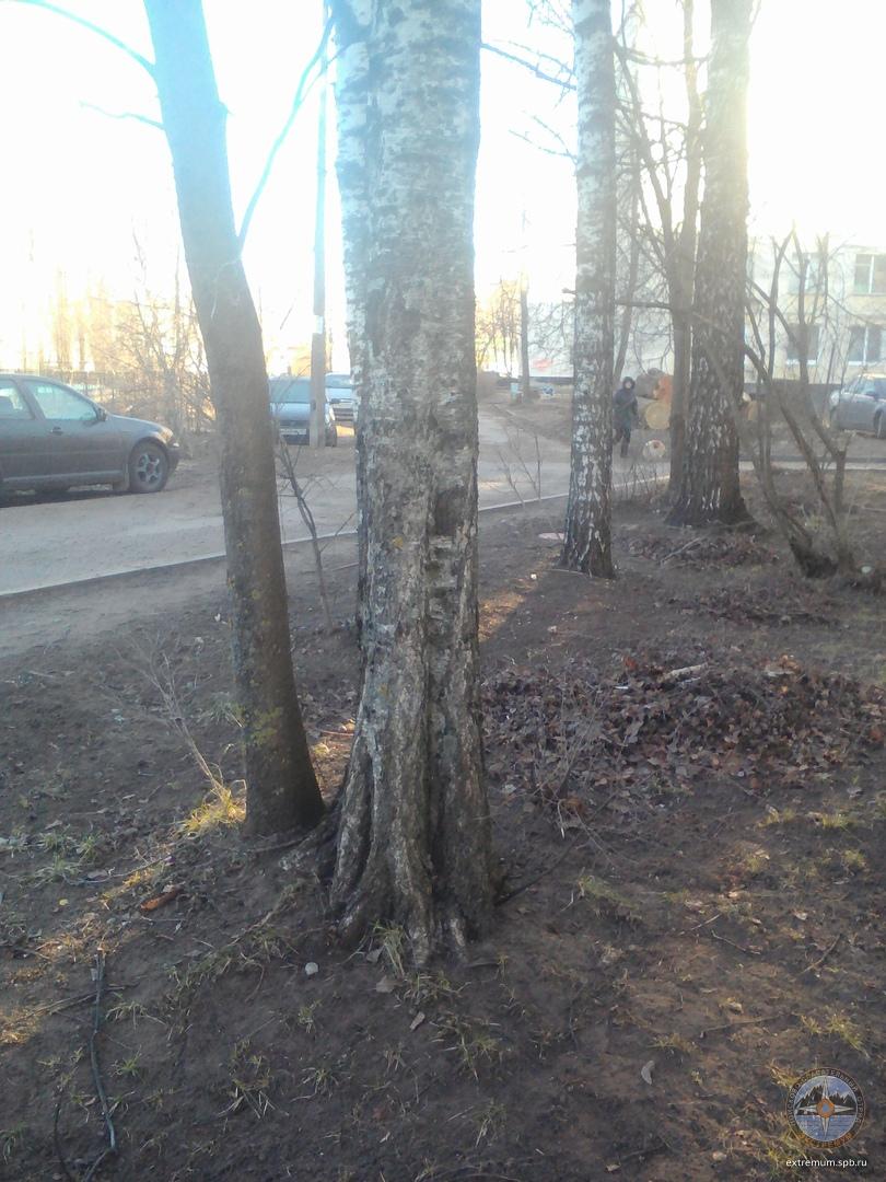 iikEZsUTcvk[1].jpg