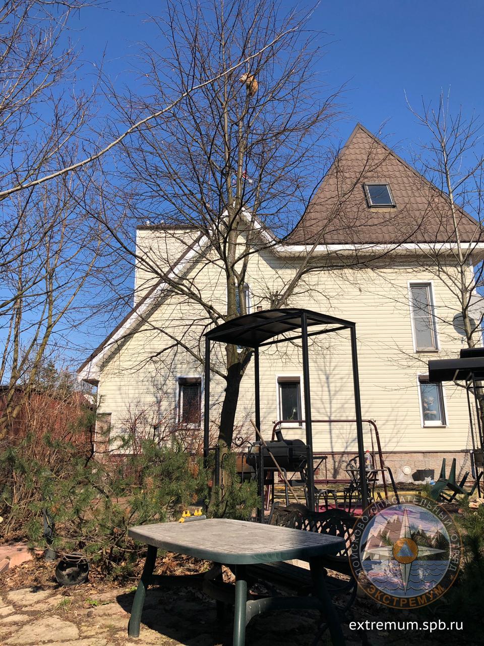 IMG-20190404-WA0002.jpg