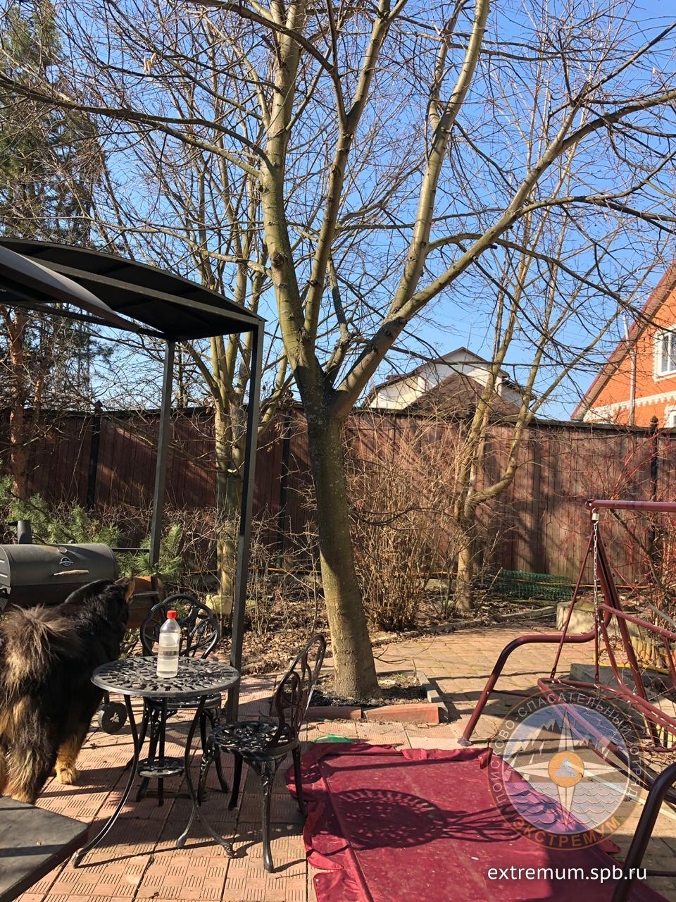 IMG-20190404-WA0000.jpg