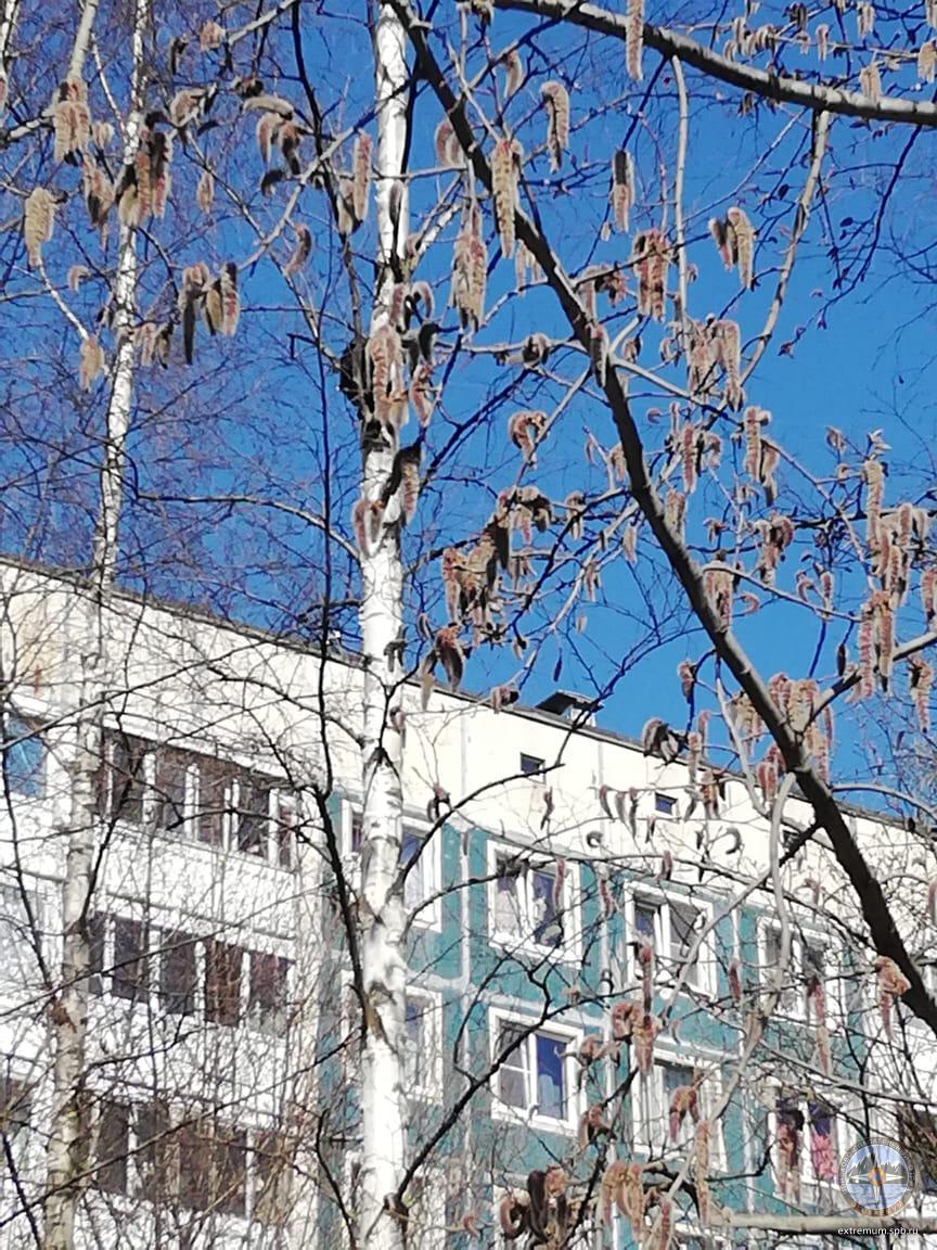 IMG-20190406-WA0001.jpg