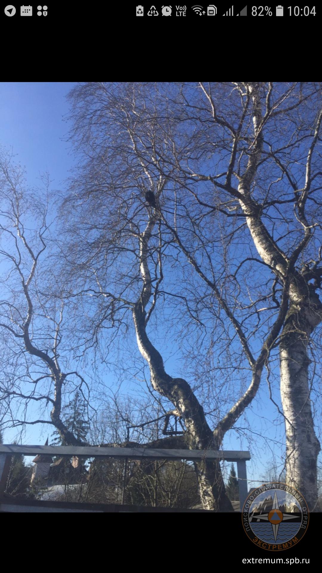 Screenshot_20190418-100417_VK.jpg