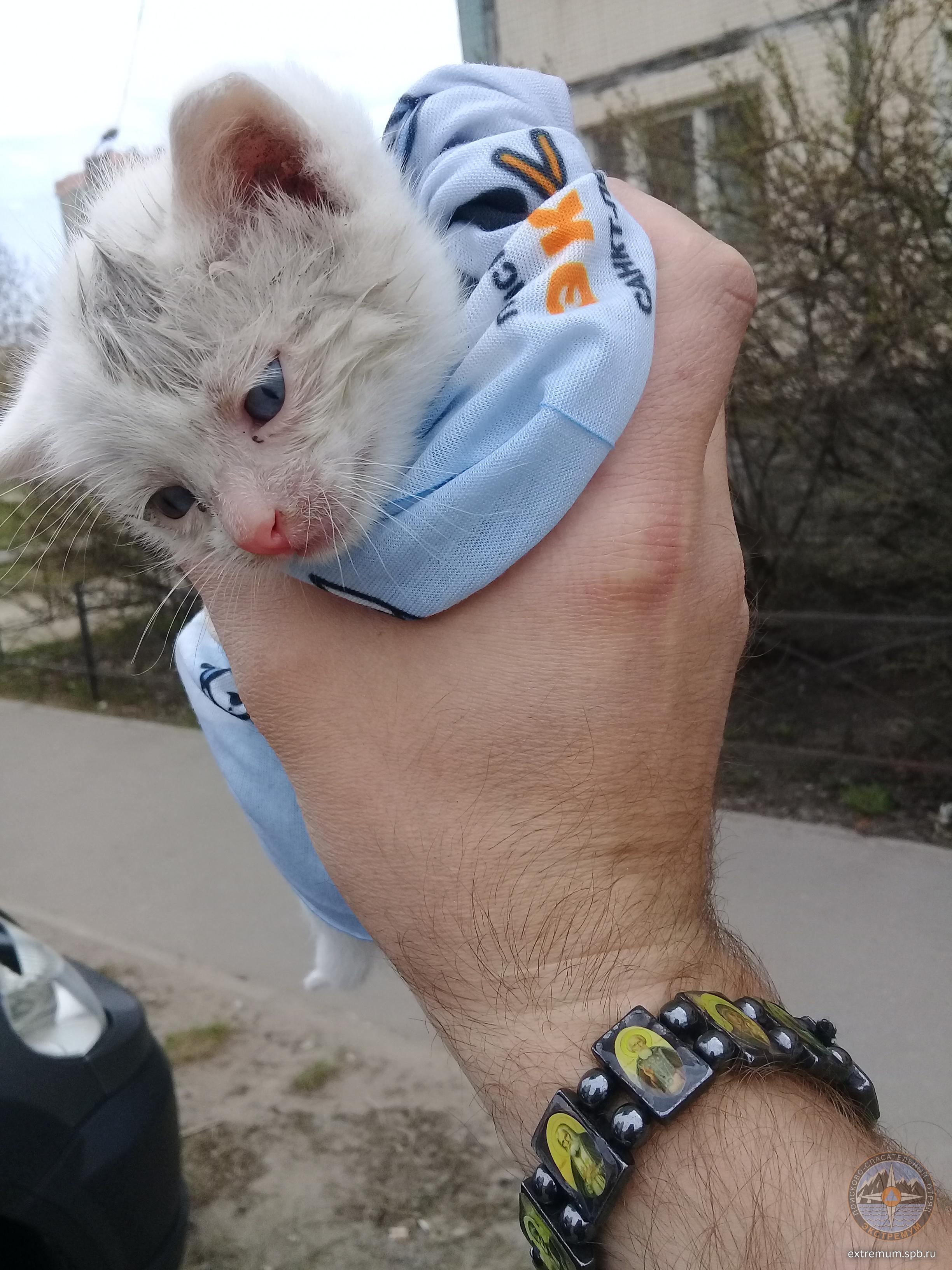 20190422_143117.jpg