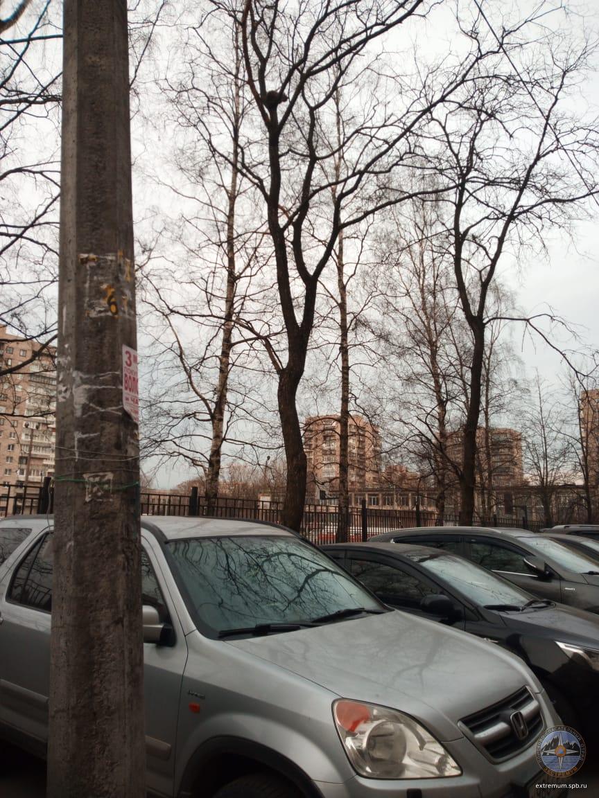 SAVE_20190422_193454.jpeg