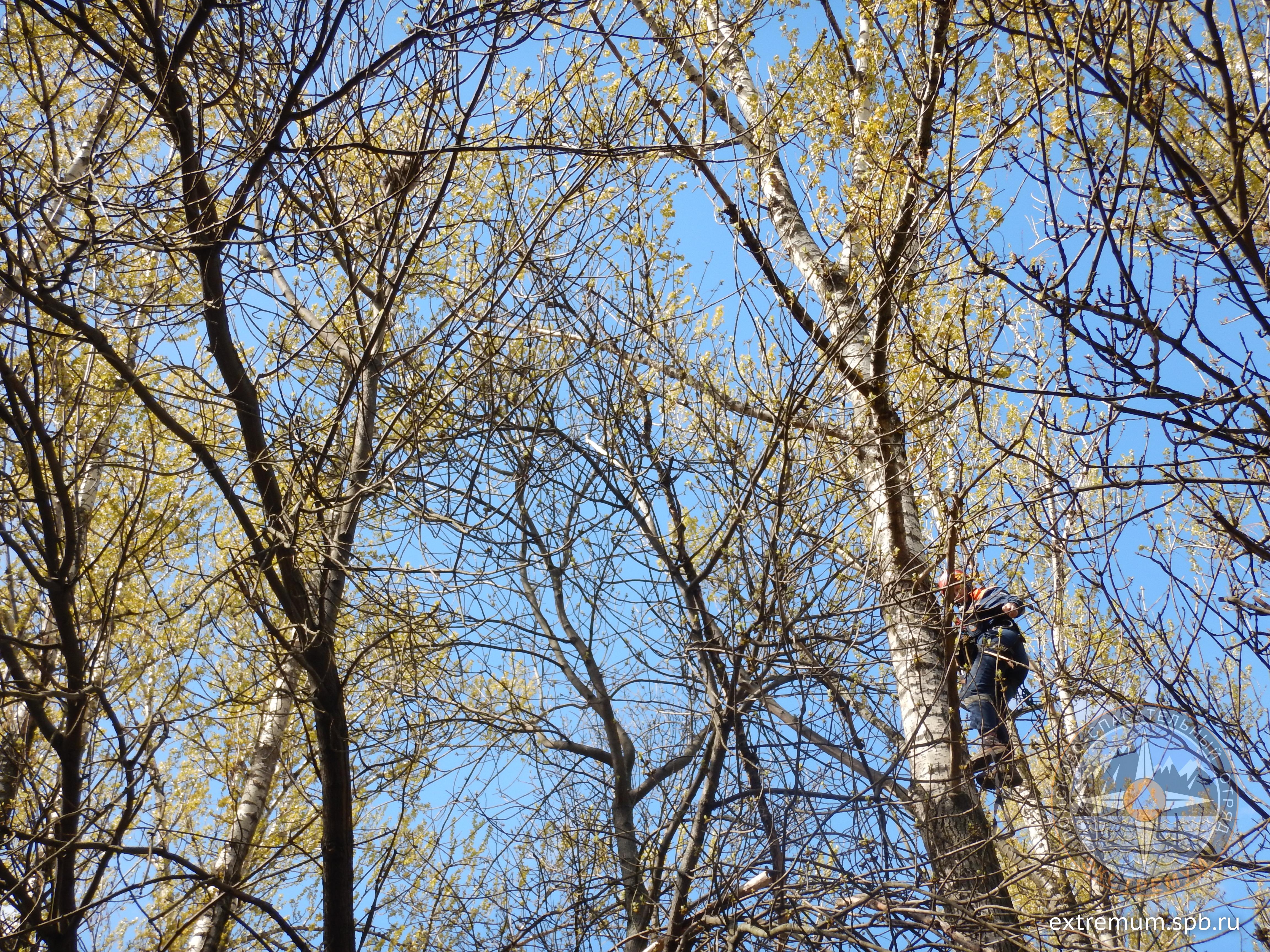 DSCN3644.JPG