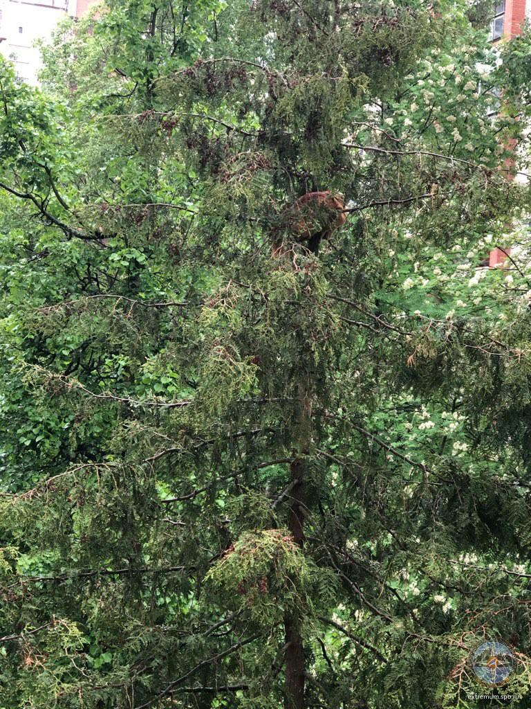 IMG_20190529_164709.jpg