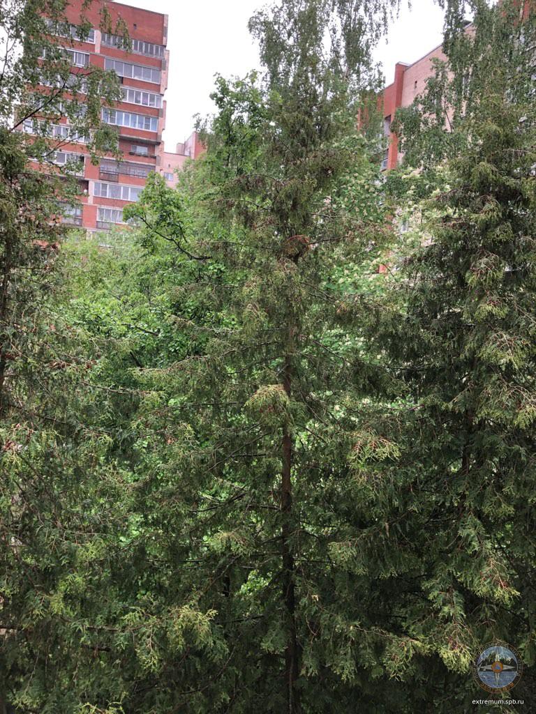 IMG_20190529_164733.jpg
