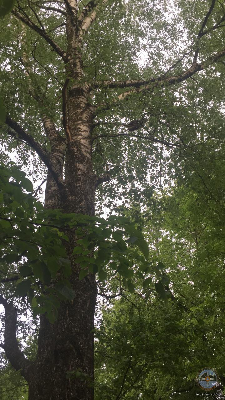 IMG-20190601-WA0010.jpg