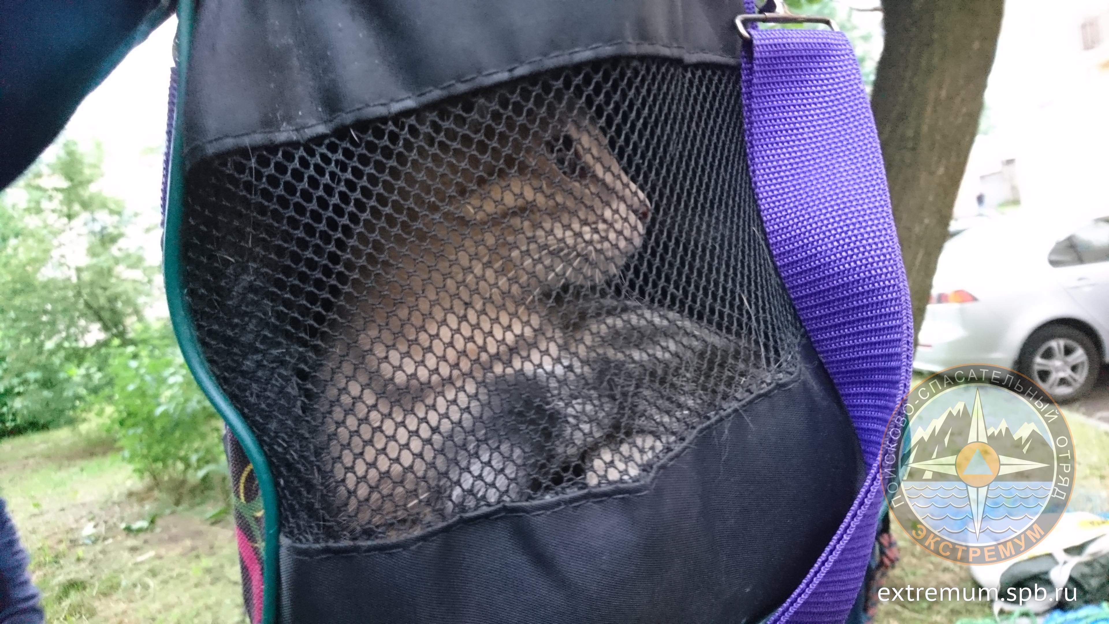 DSC_0263.JPG