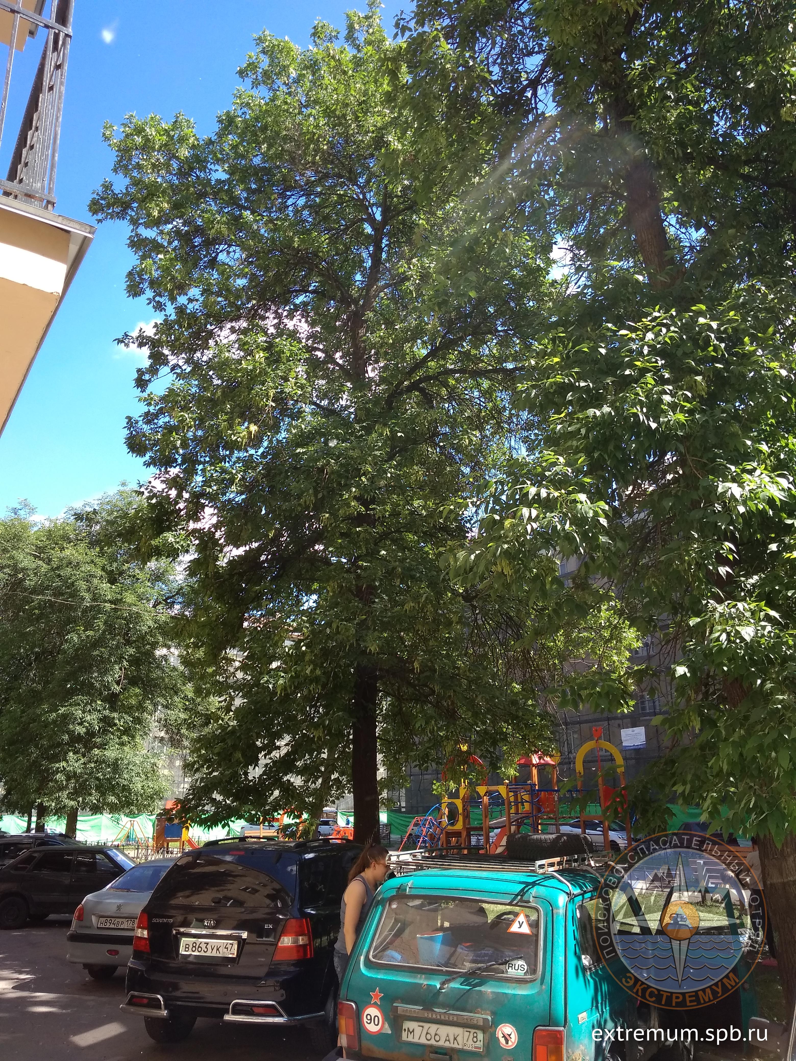 IMG_20190616_142559.jpg