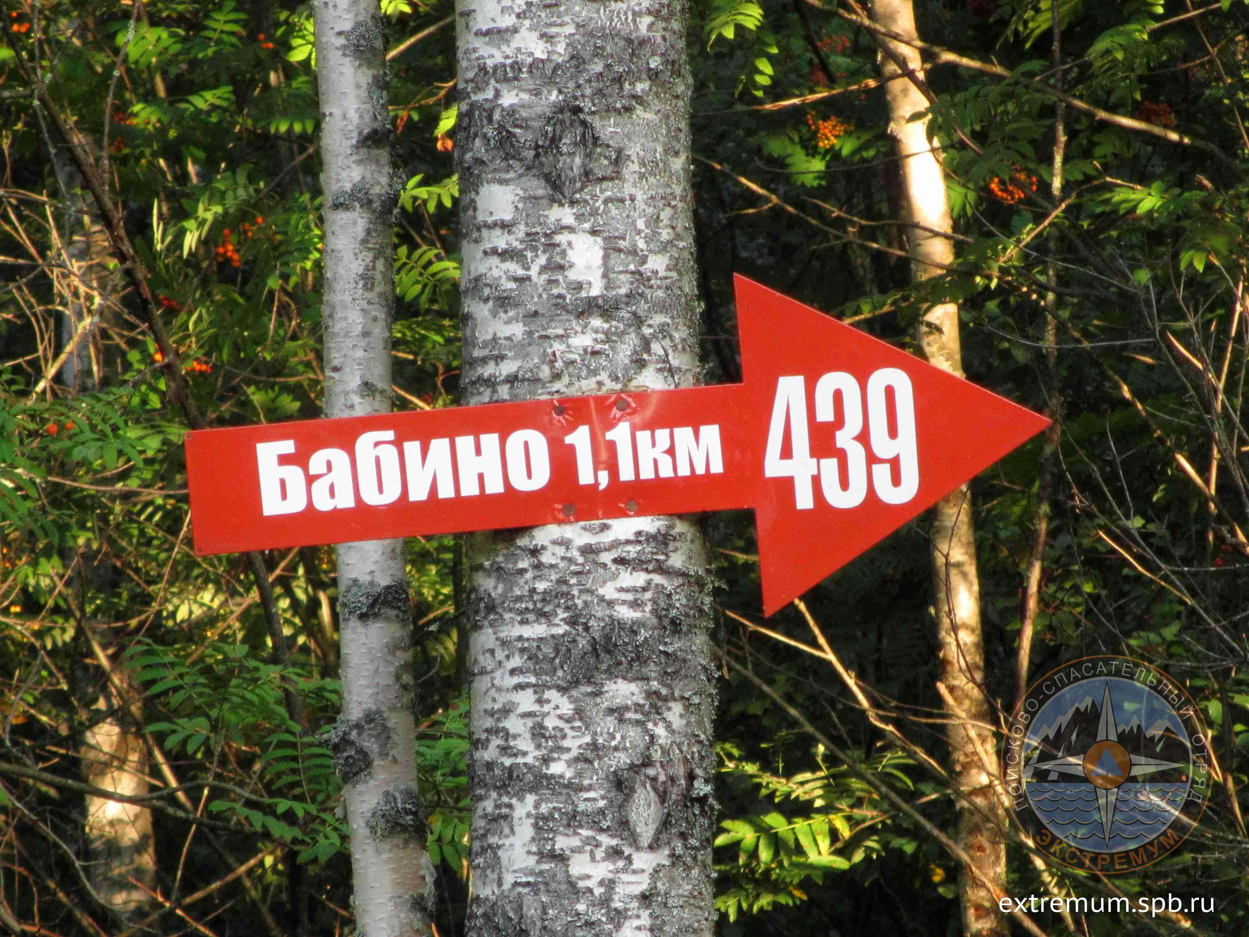 IMG_9091.jpg