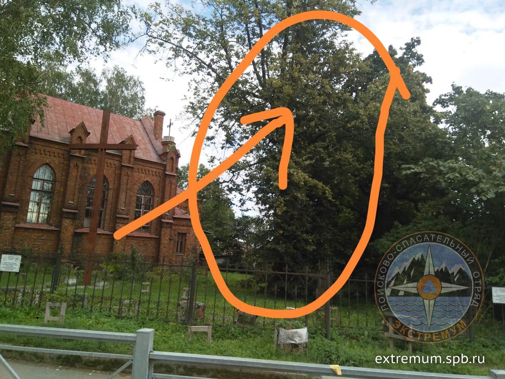 IMG-20190813-WA0017.jpg
