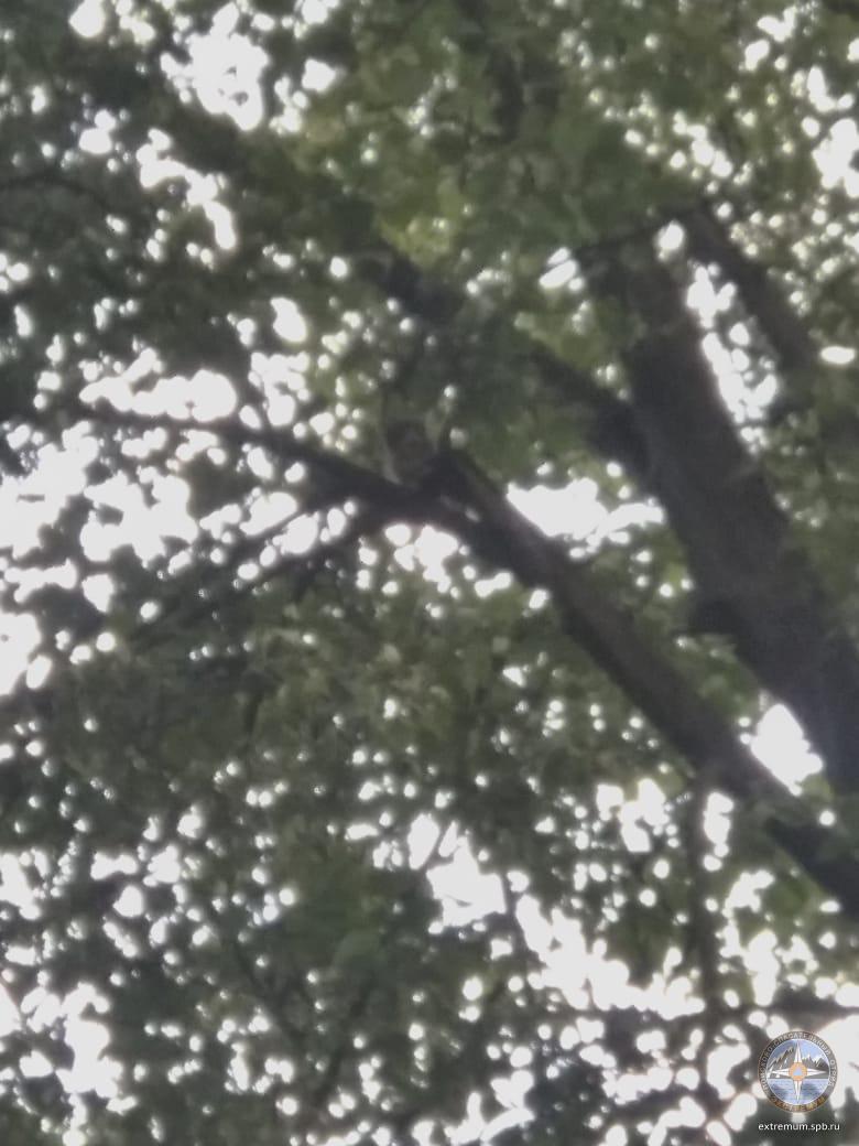 IMG-20190813-WA0013.jpg