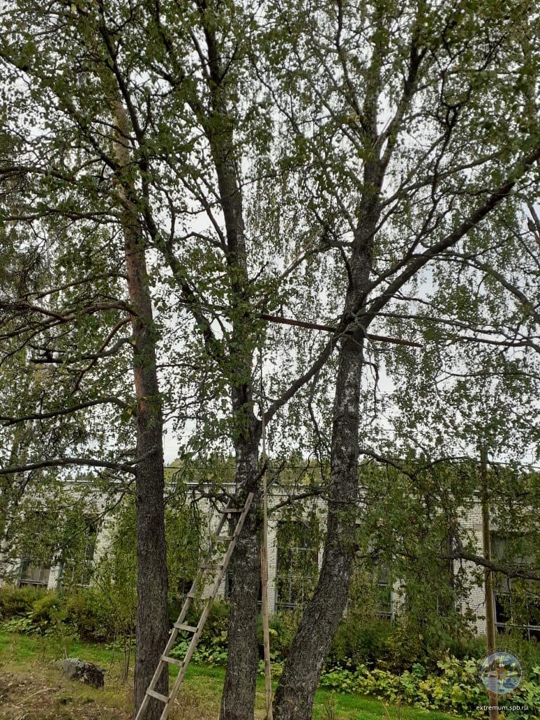 4fOQVgpaVdA[1].jpg