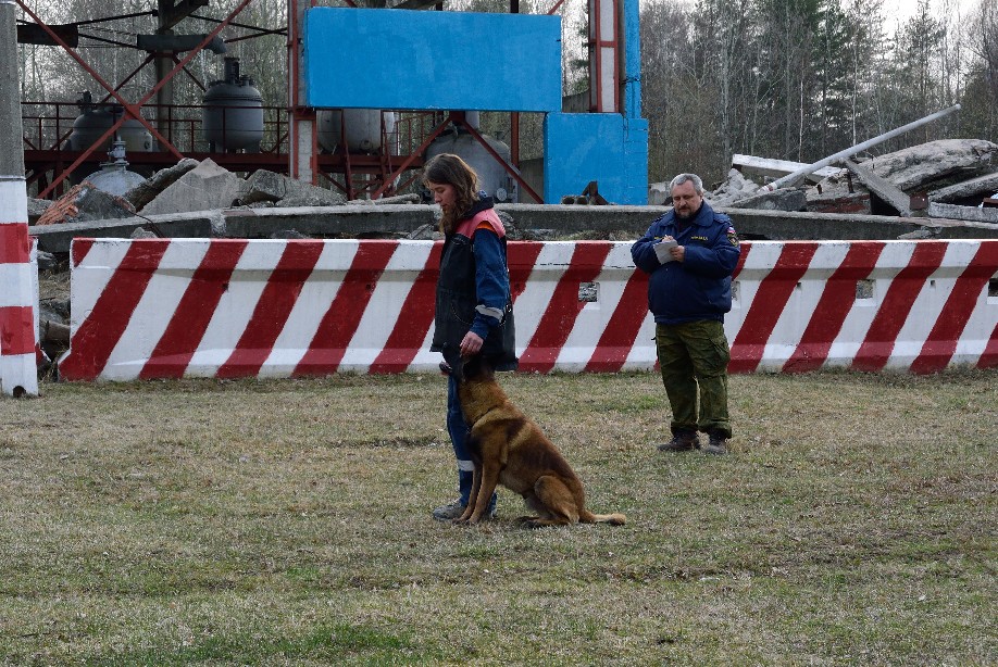 01_Вольт_ППЛ_05.jpg