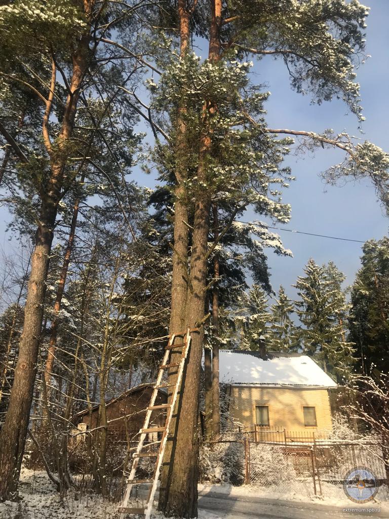 IMG-20191030-WA0000.jpg