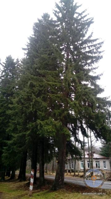 mms_20191224_132349.jpg