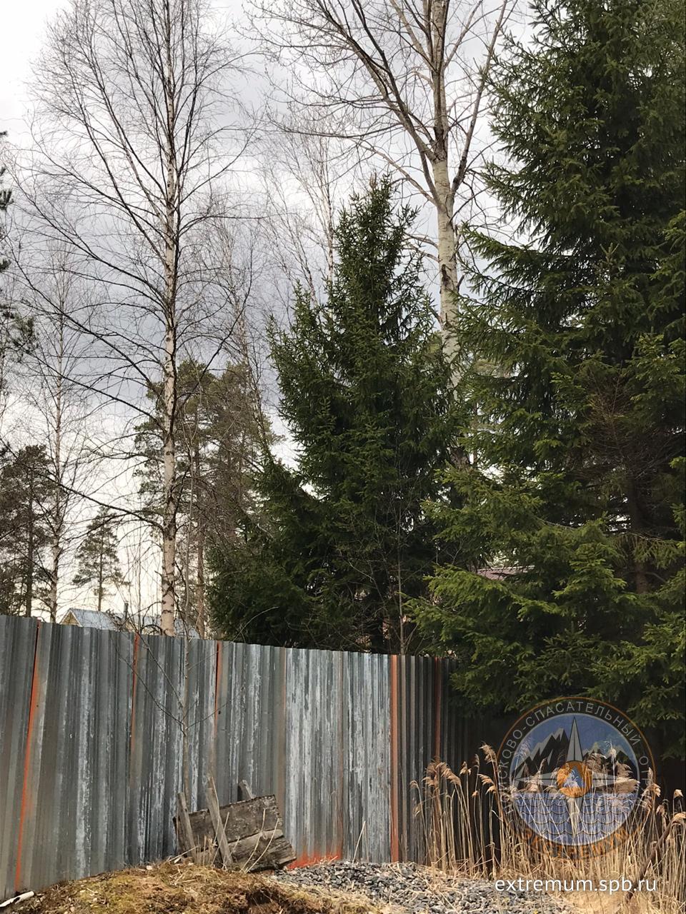 Вырица 2.jpg