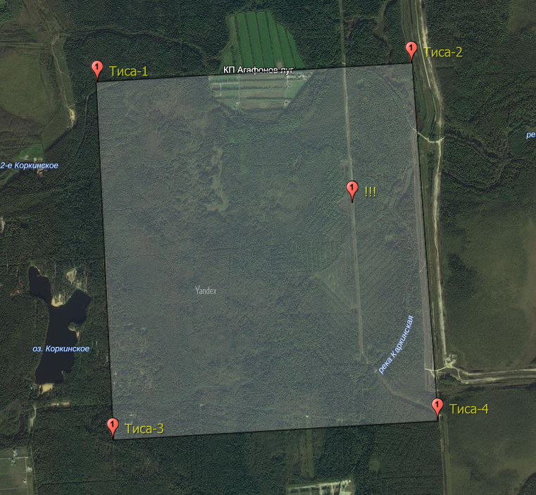 Тиса.PNG