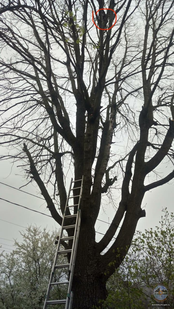 E045828B-90CF-4D8D-BF8A-B1F5D838993B.jpeg