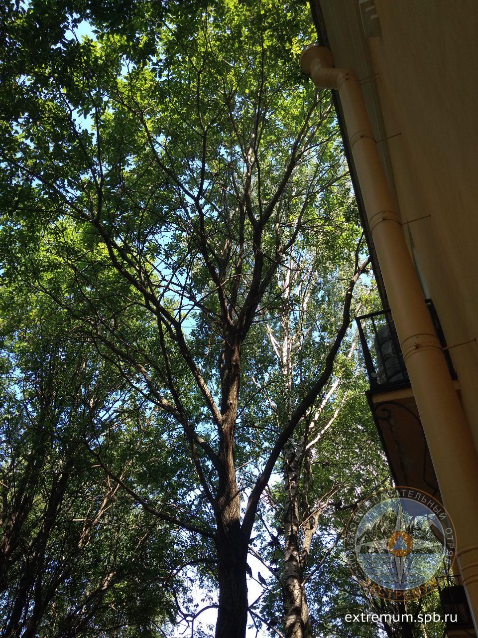 IMG_20200618_143049_507.jpg