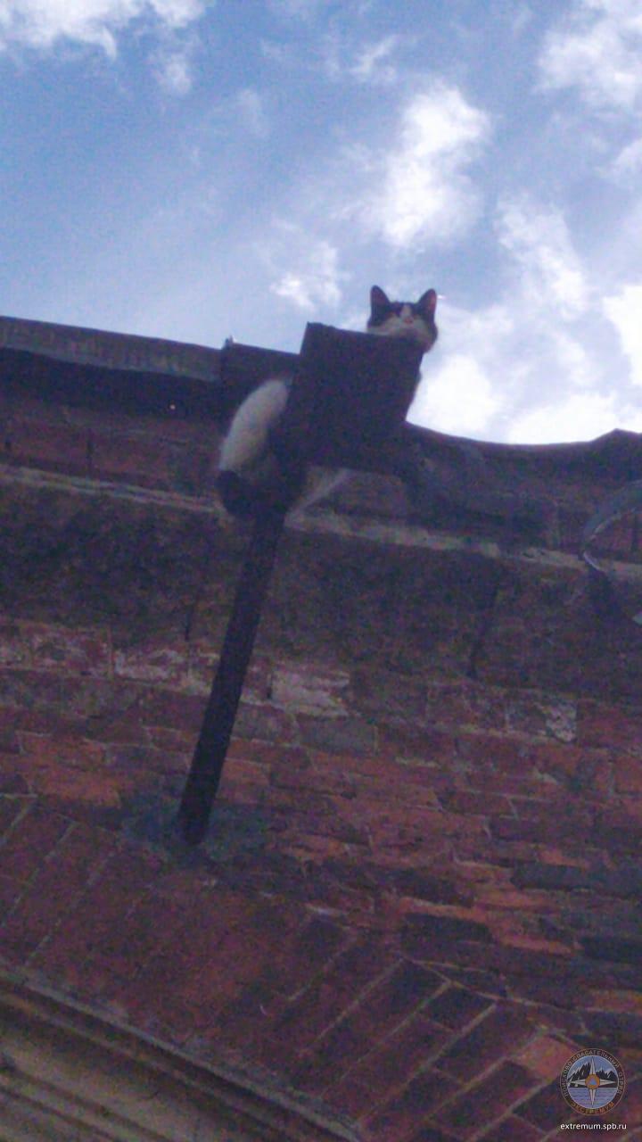 IMG-20200707-WA0017.jpg