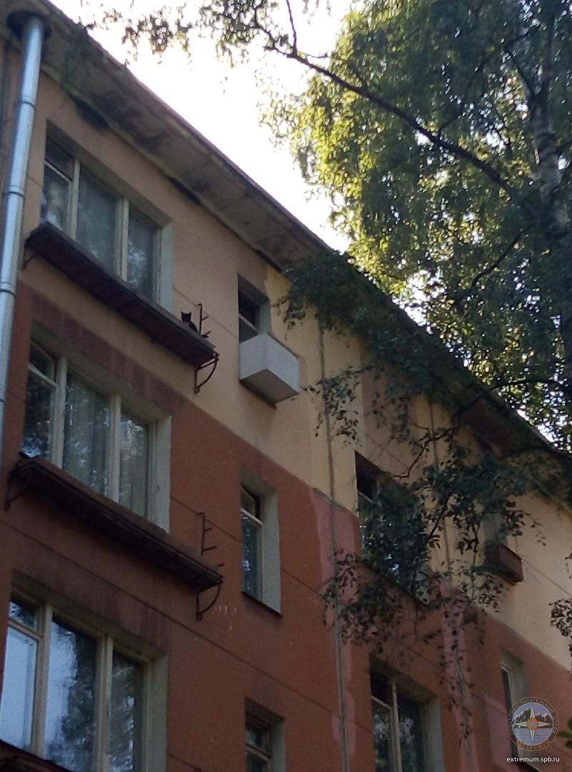 I4qvTpSzUYk.jpg