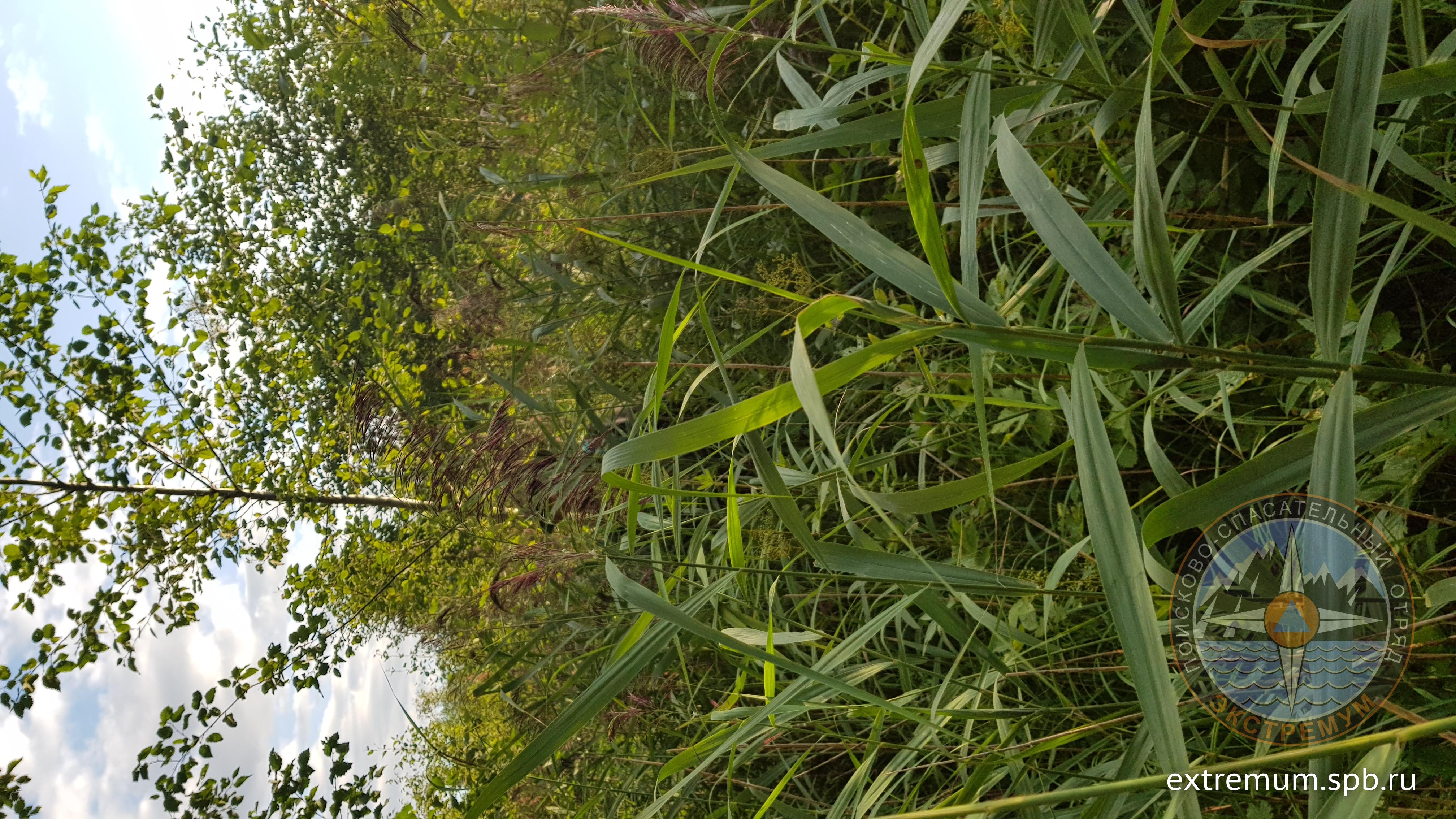 20200813_185238.jpg