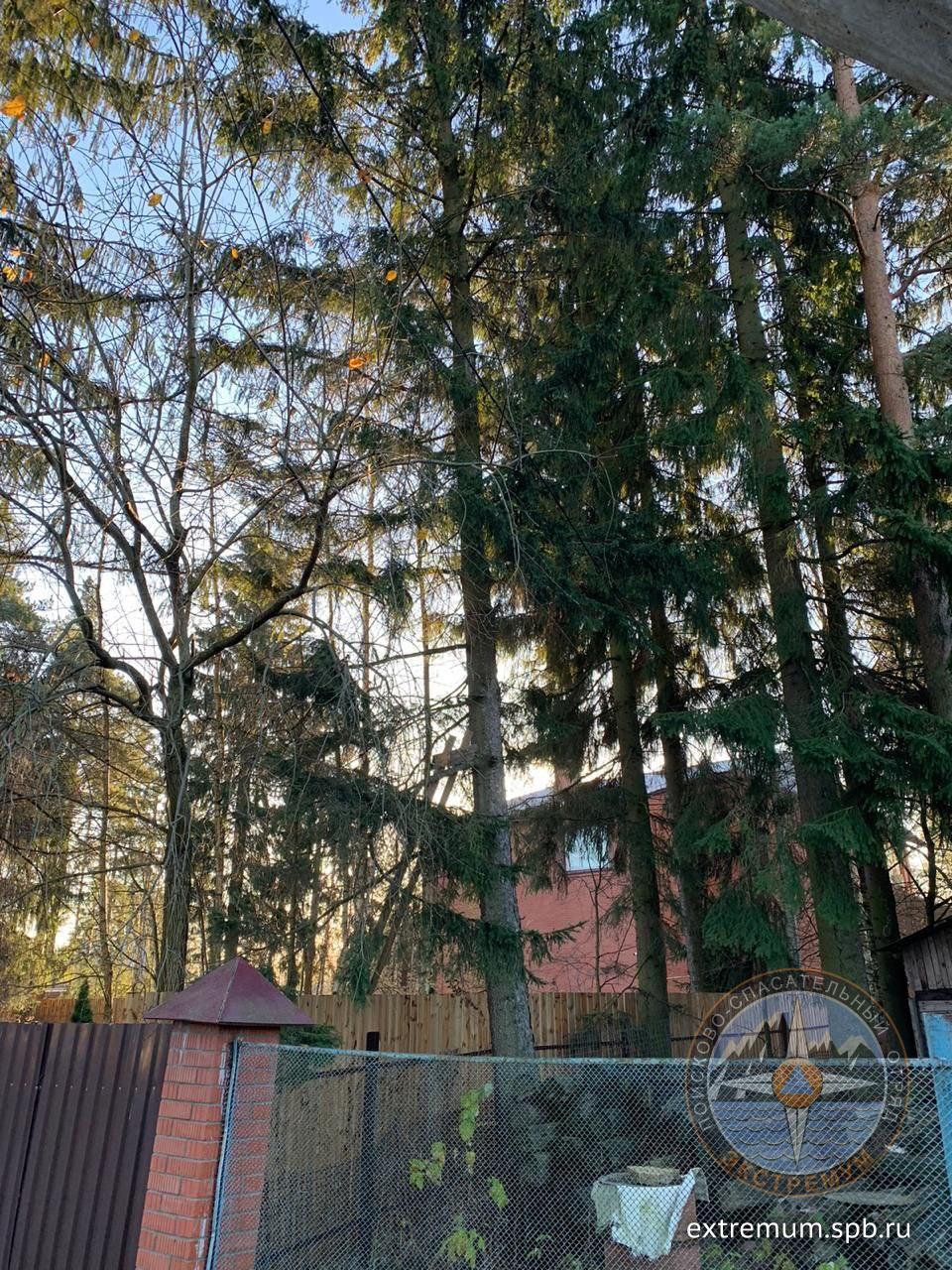 20201110_104539.jpg