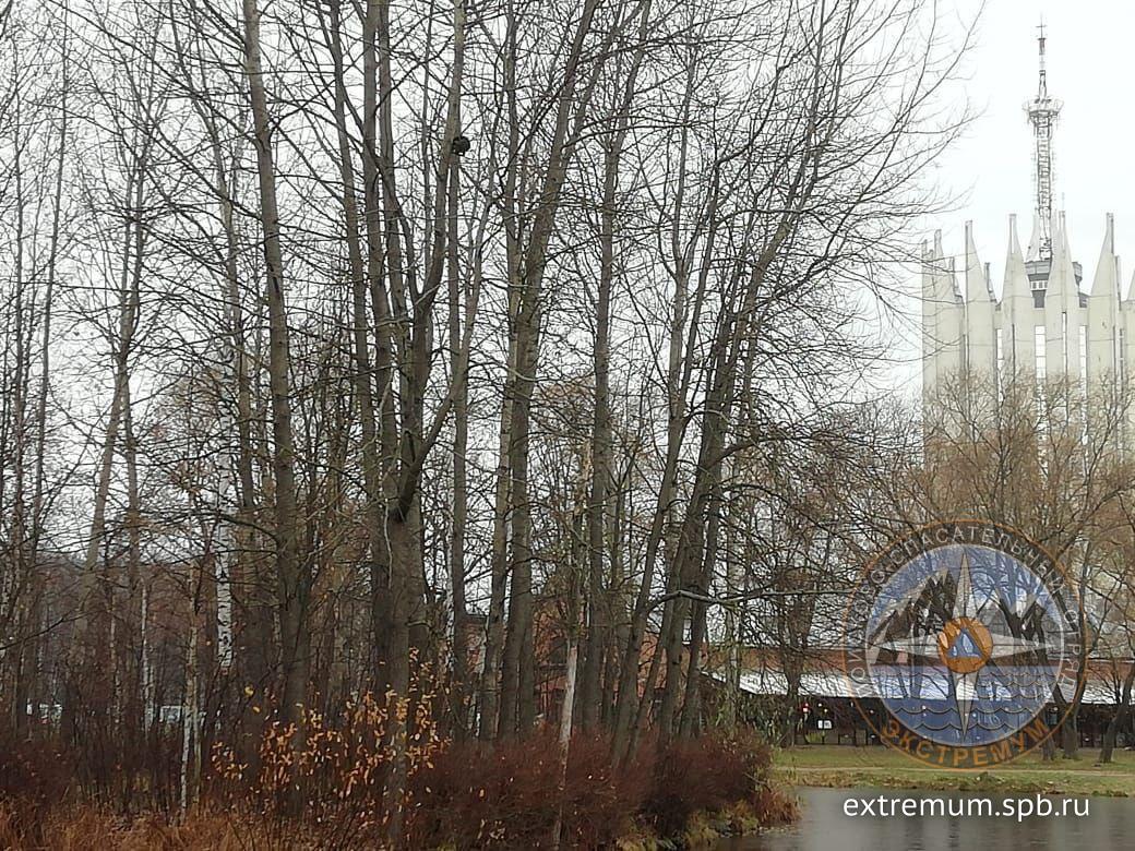 20201111_131323.jpg