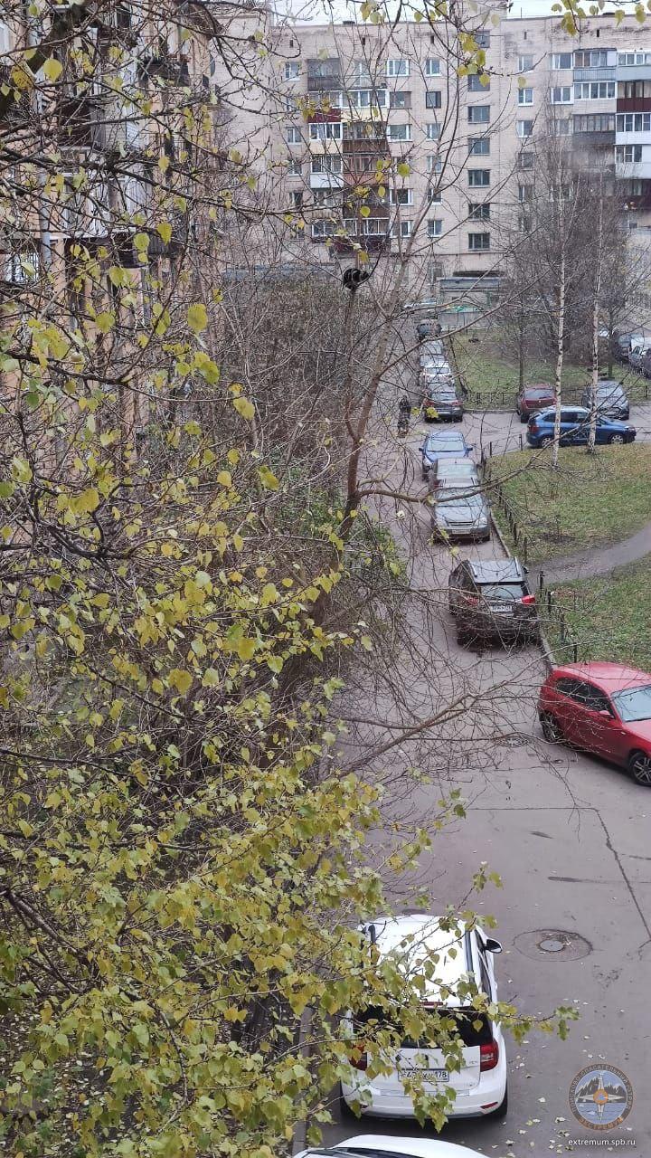 20201111_141034.jpg