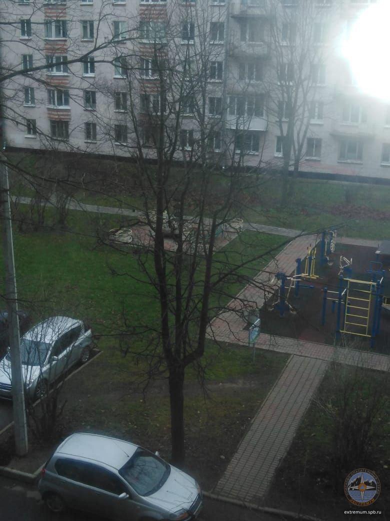 20201113_132131.jpg