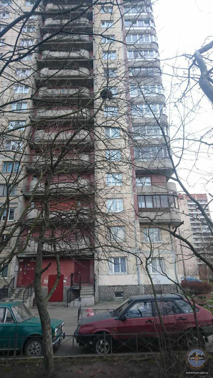 IMG-20201206-WA0006.jpg