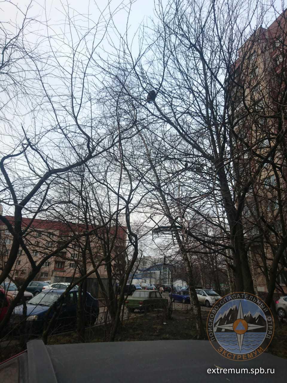 IMG-20201206-WA0004.jpg