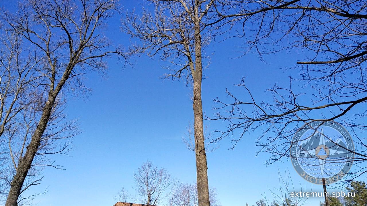 IMG-20210324-WA0001.jpg