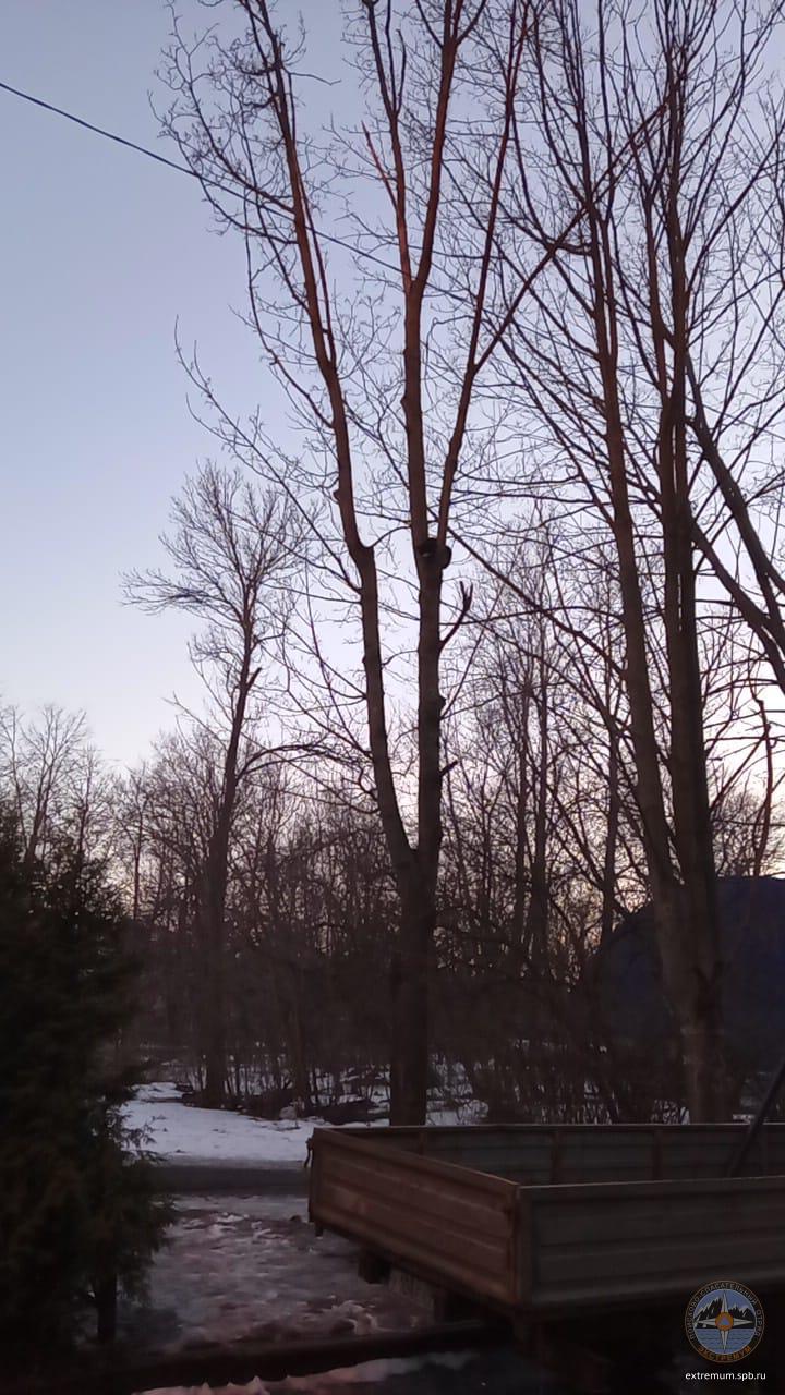 IMG-20210324-WA0003.jpg