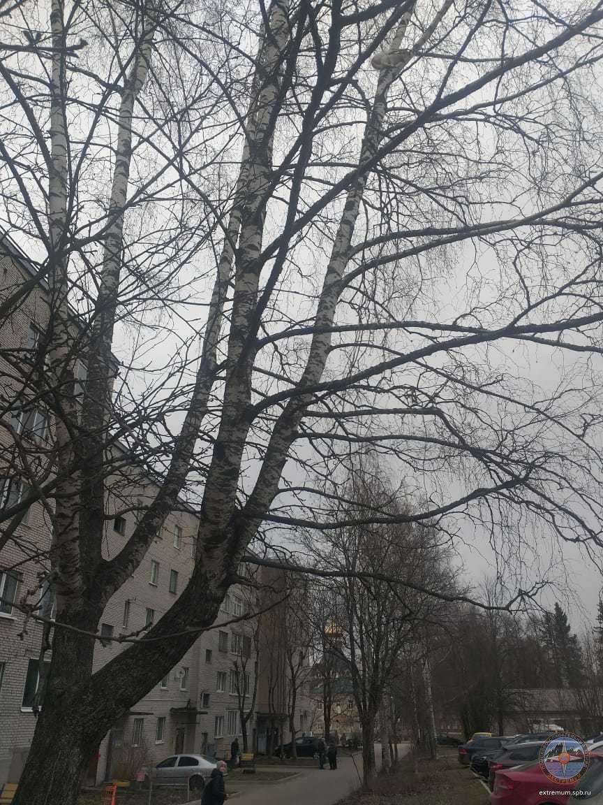 IMG-20210412-WA0002.jpg